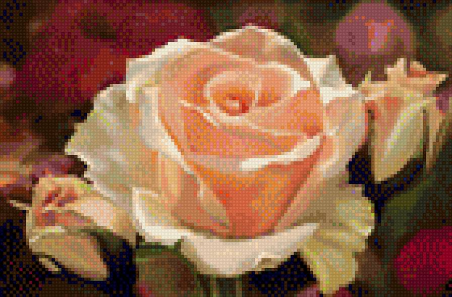 Роза - роза - предпросмотр