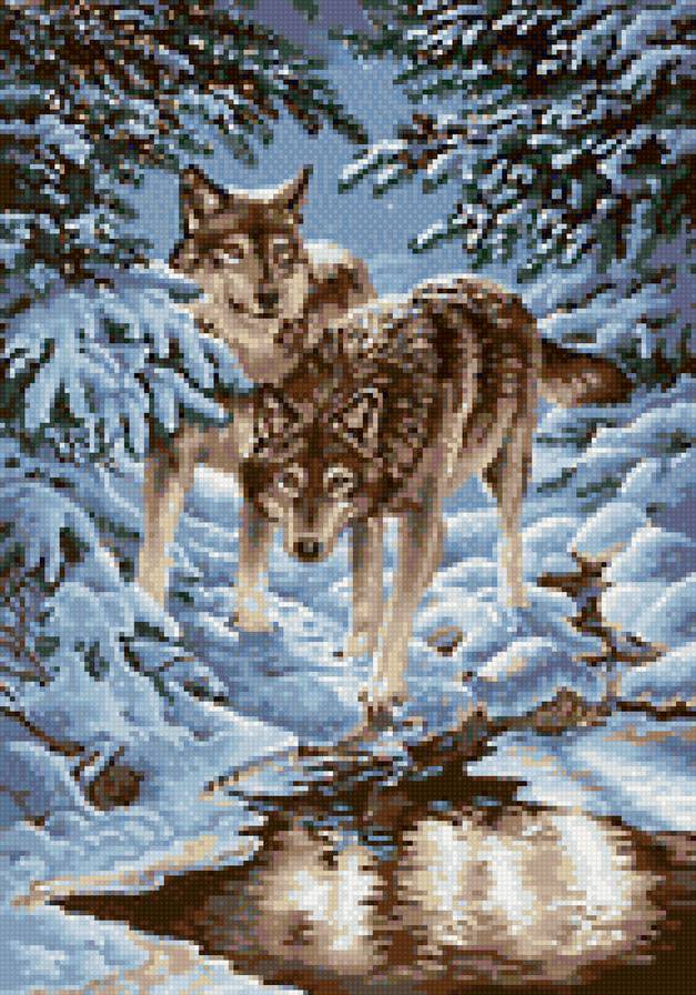 он и она - зимний лес, волк, природа - предпросмотр