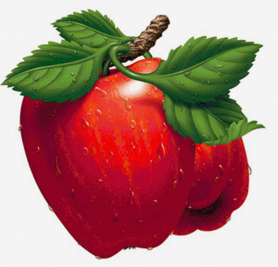 Яблоки - яблоко, фрукты, на кухню - предпросмотр