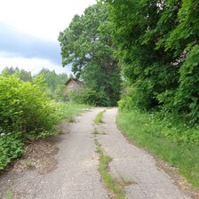 мой дом родной