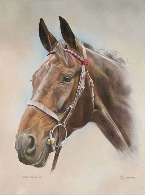 №1196794 - оригинал