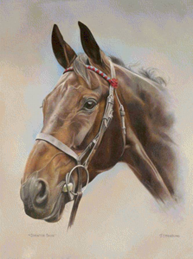 №1196794 - предпросмотр