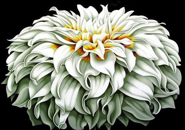 Хризантема - цветы, хризантемы - оригинал