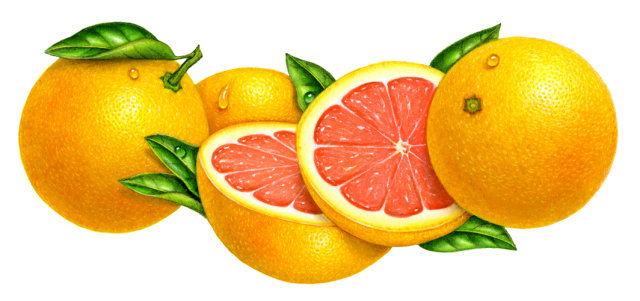 Грейпфрут - панно, апельсины, цитрусовые, панель, натюрморт, грейпфруты, для кухни - оригинал