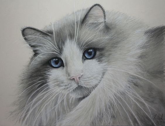 №1197282 - оригинал