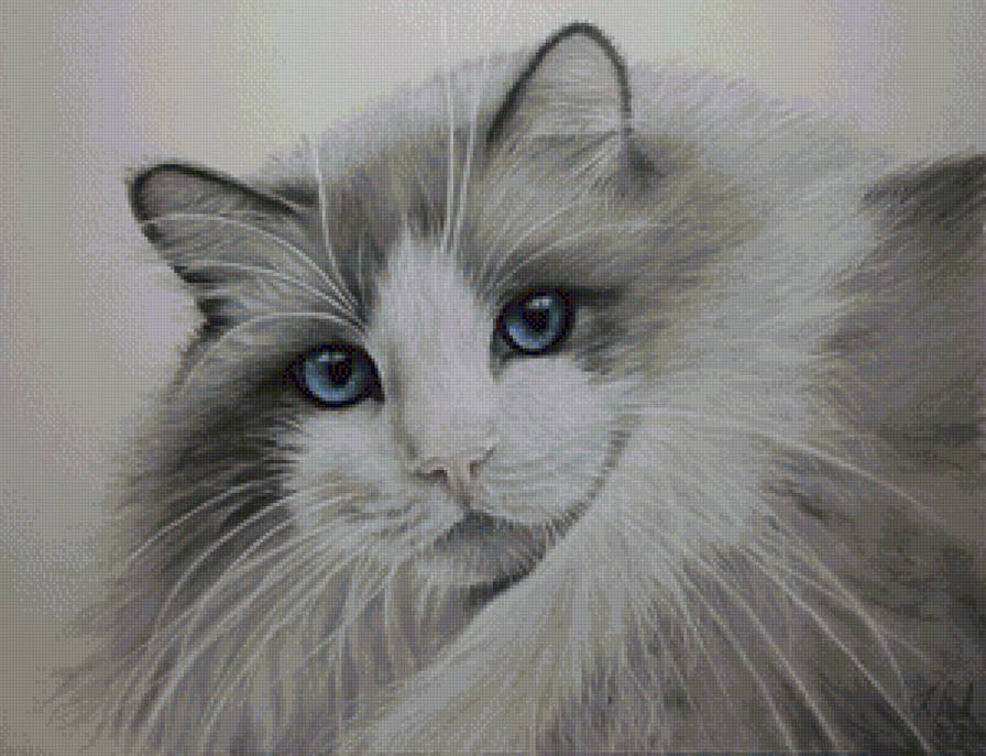 №1197282 - предпросмотр