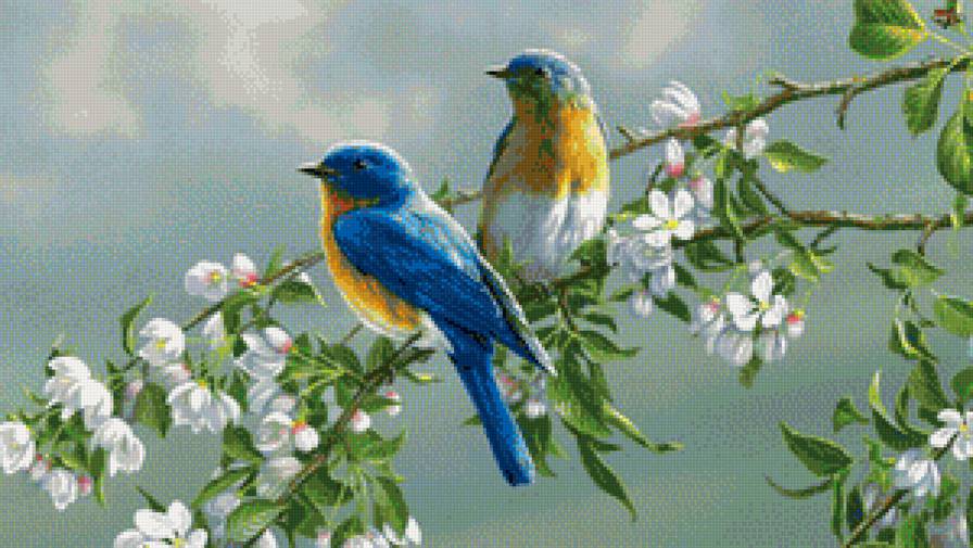 Птицы на ветках - предпросмотр