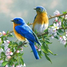 Птицы на ветках