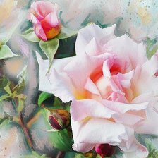 Схема вышивки «Розы»