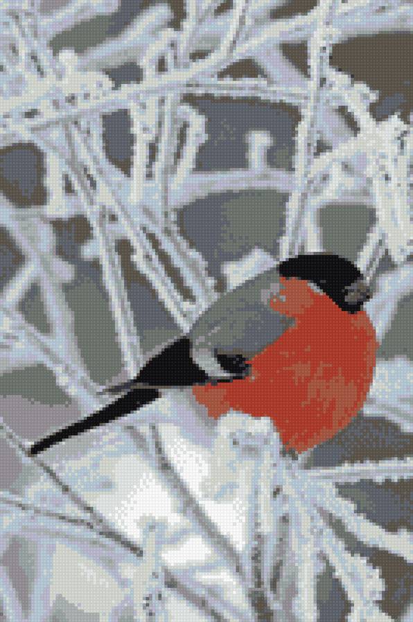 Снегирь - зима, животные, птицы - предпросмотр
