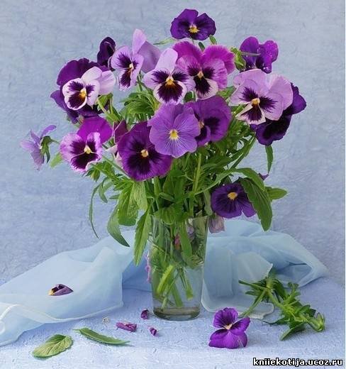 букетик виол - оригинал