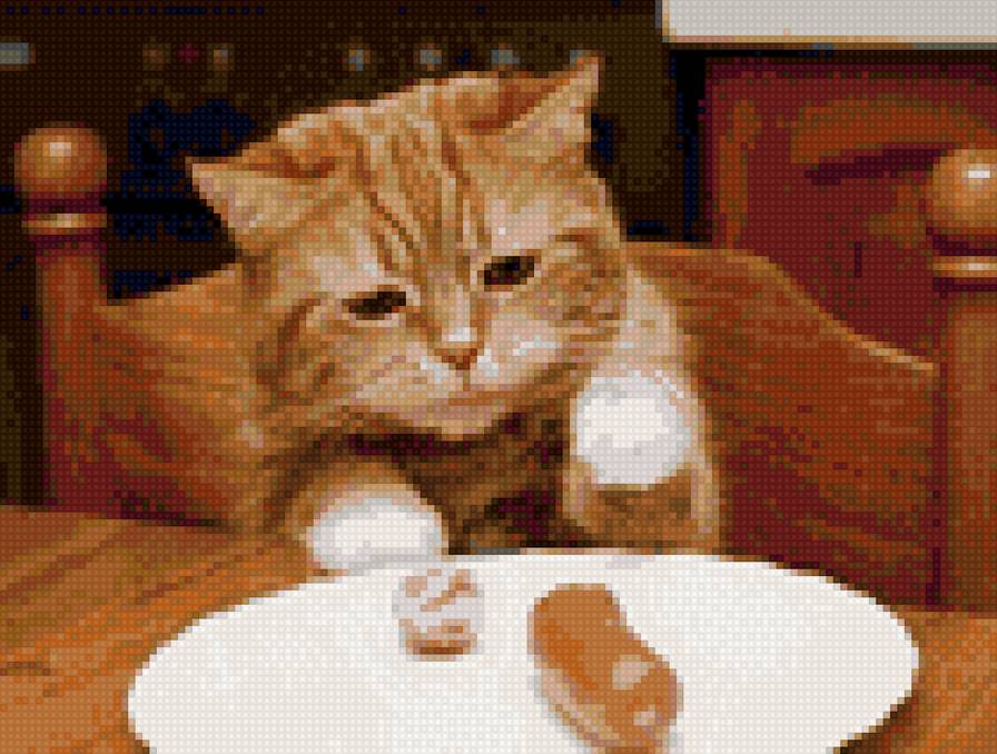 рыжик - предпросмотр