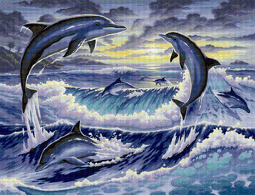 стая дельфинов на закате - предпросмотр