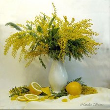 Схема вышивки «мимоза2»