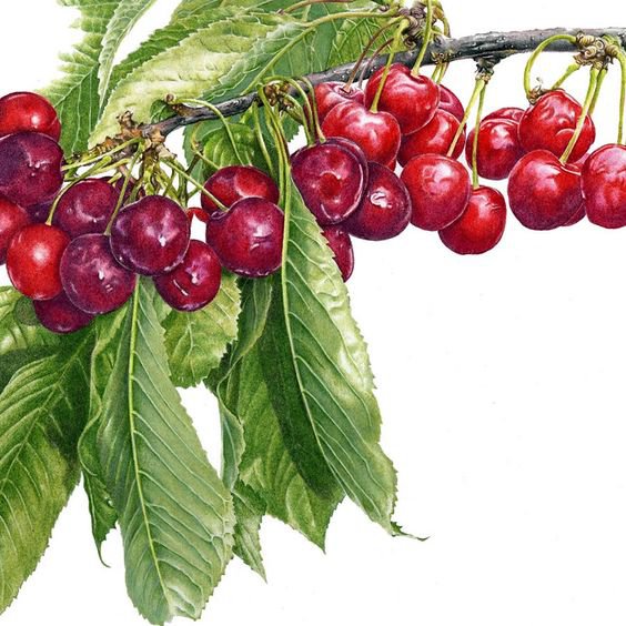 №1199187 - оригинал