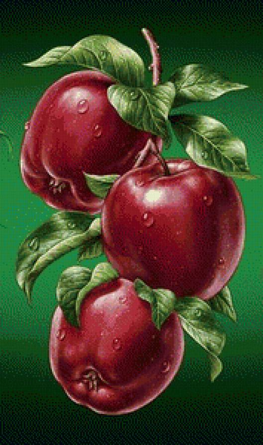 яблочки - предпросмотр