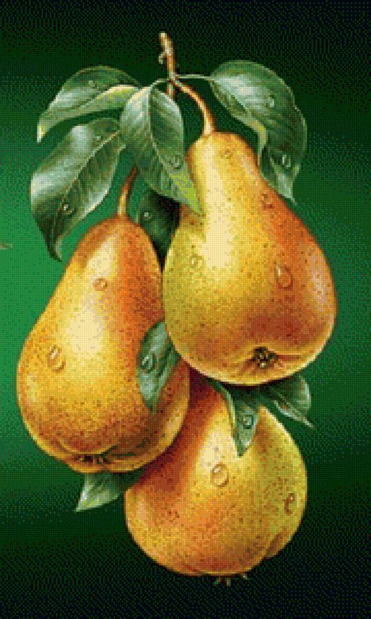 груши - предпросмотр