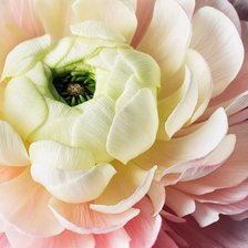 Оригинал схемы вышивки «№1199237»