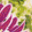 Предпросмотр схемы вышивки «Розовые хризантемы» (№1199242)