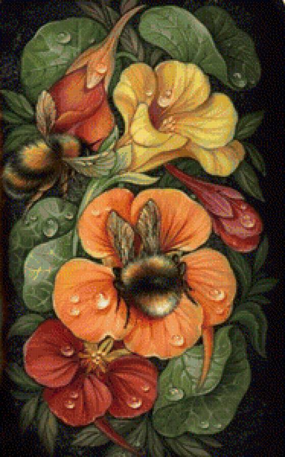 шмели на цветах - предпросмотр