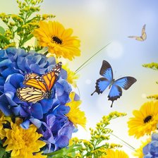 Схема вышивки «бабочка на синем»