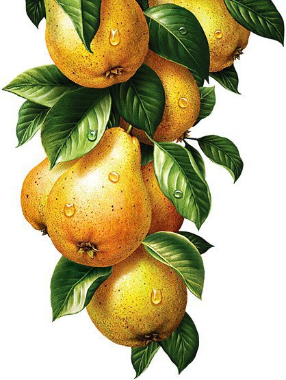 груши - оригинал