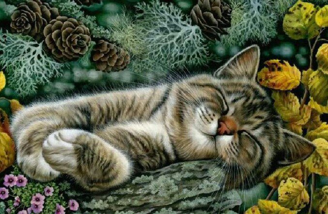 котик - картина, кошки, природа - оригинал