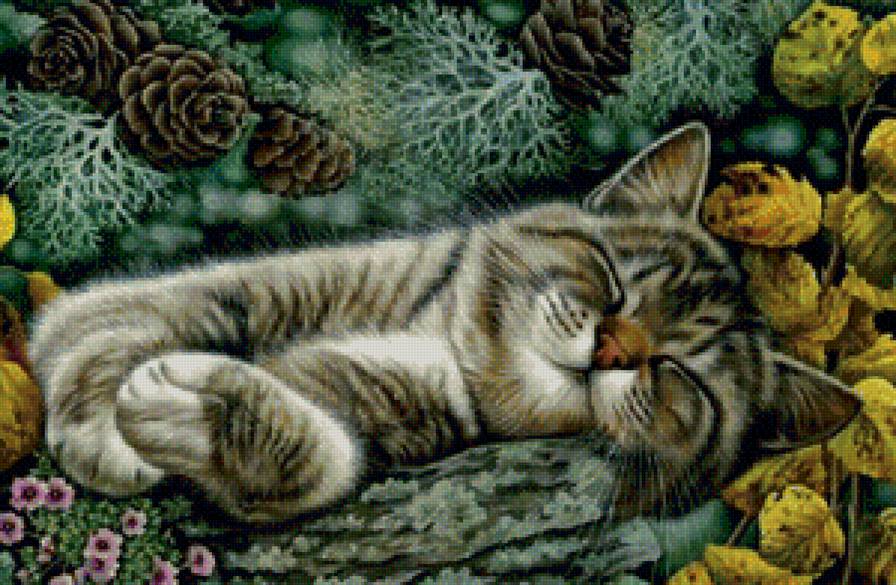 котик - картина, природа, кошки - предпросмотр