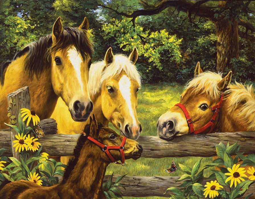 молодые лошадки - картина, лето, природа, лошади - оригинал