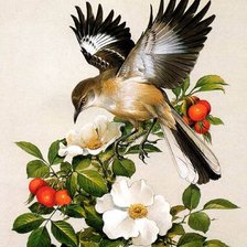 Схема вышивки «птичка»