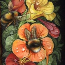 шмели на цветах