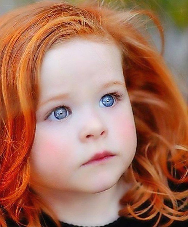 Рыжик - оригинал