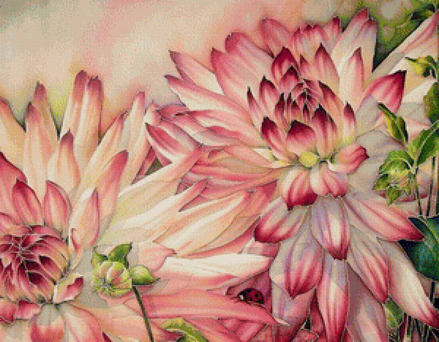 Серия "Флора" - цветы - предпросмотр