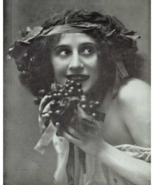 Владимир Румянцев. Первая Зима. - вышивка крестом, красивые вышивки, пионы - оригинал