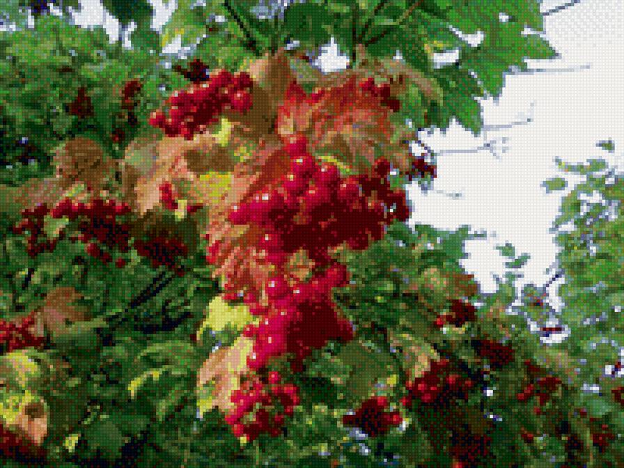 Калина. Сибирь 2010. - вышивка крестом, красивые вышивки, пионы - предпросмотр