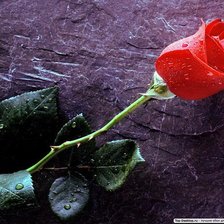 Схема вышивки «№1200024»