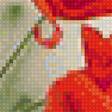 Предпросмотр схемы вышивки «маки» (№1200172)