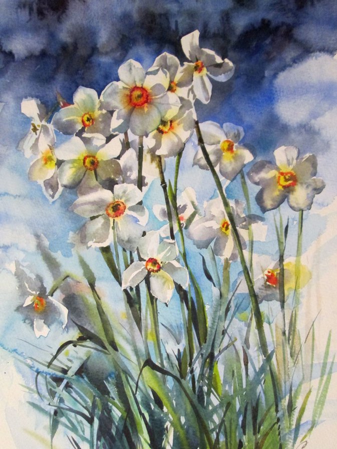 полевые цветы - ветер, цветы, живопись, нарциссы, картина, природа - оригинал