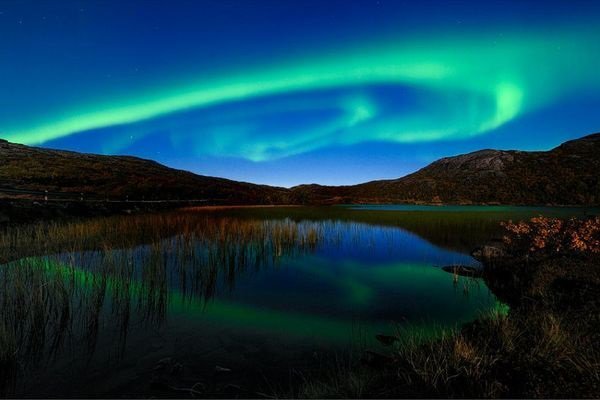 №1201177 - оригинал