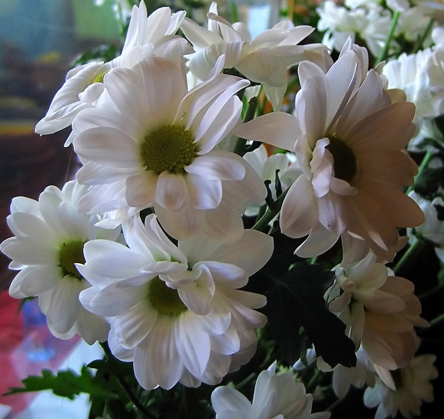 №1201351 - оригинал