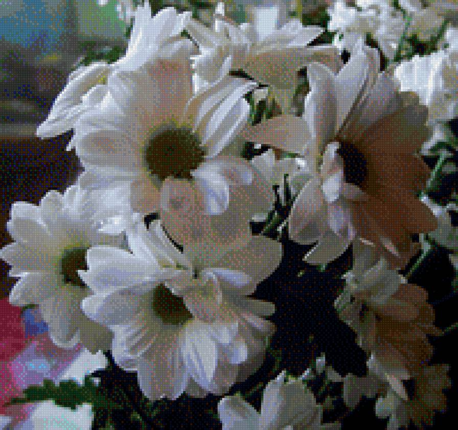 №1201351 - предпросмотр