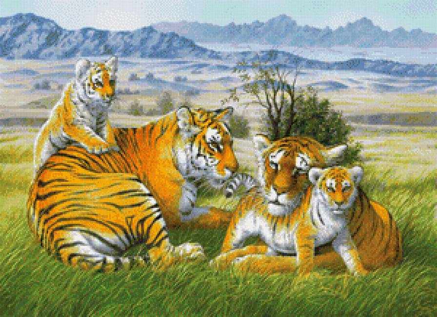 семейство тигров - тигры. хищники - предпросмотр