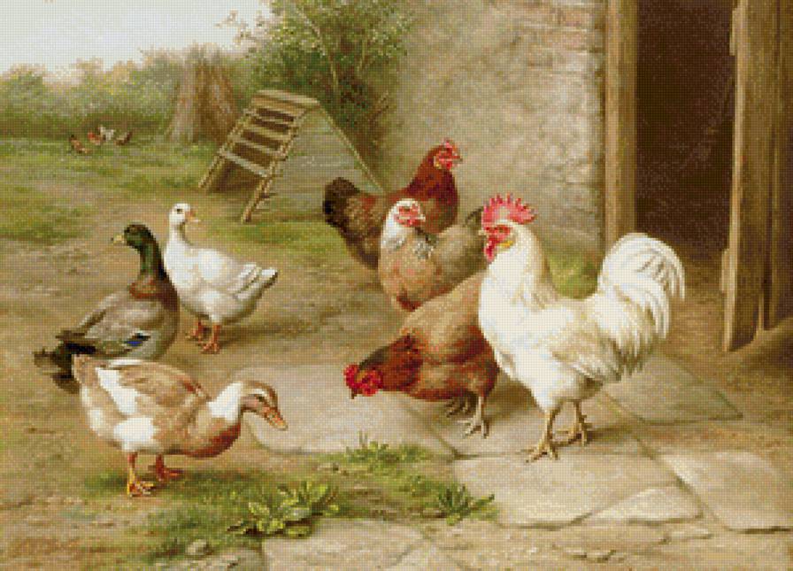 Птичий двор - домашние птицы - предпросмотр