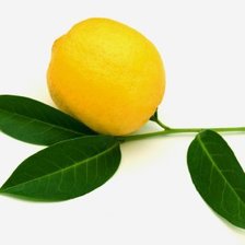 Схема вышивки «лимон»