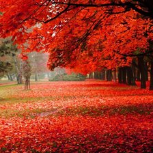 Схема вышивки «природа»