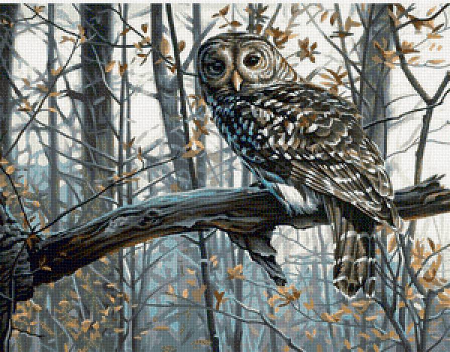 совушка - предпросмотр