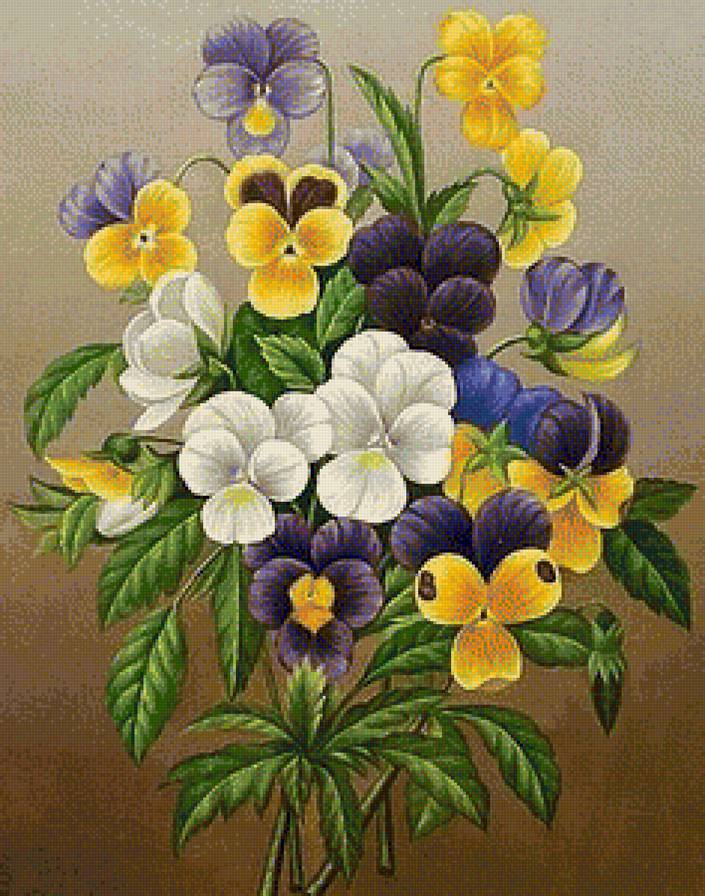 Анютки - цветы - предпросмотр