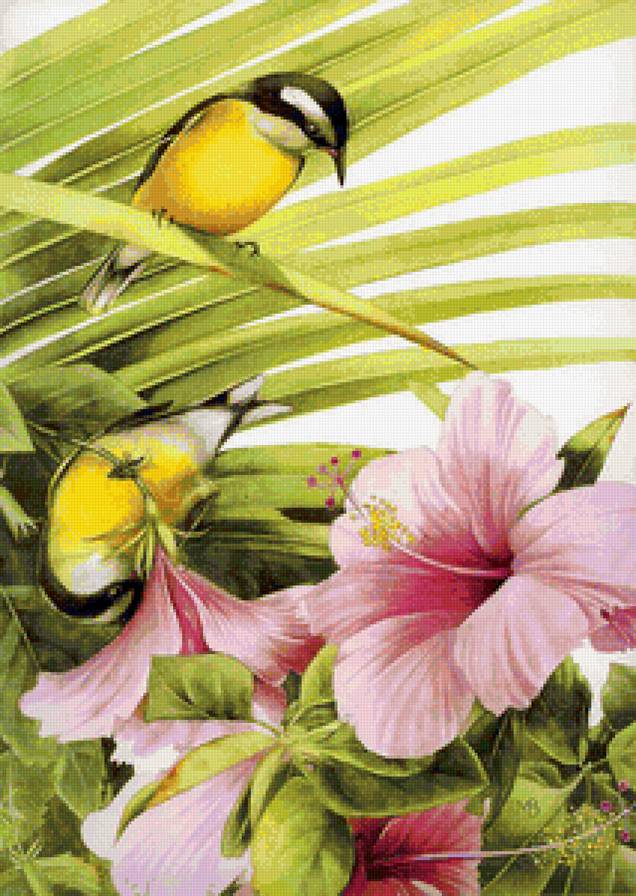 гибискус и птицы - предпросмотр