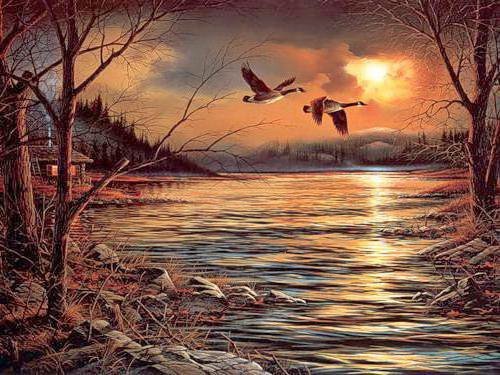 Утки над озером - оригинал