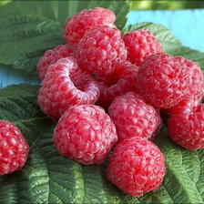 Схема вышивки «малиновый букет»